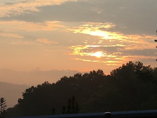 240AC9B8-D30F-488D-B2BA-24BD9BD97DAA.jpeg