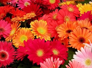 image-23d80.jpg