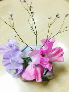 image-b31f0.jpg